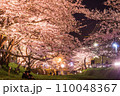 ライトアップされた桜 110048367