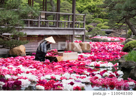 由志園池泉牡丹 110048380