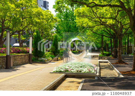 新緑の東遊園地・フラワーロード　神戸市中央区にて 110048937