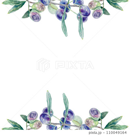 Olive branch watercolor. Vector illustration of a template with top elements. Food packaging, oil labels, cosmetics, cards, banners, presentations. Olive branch watercolor. Vector illustration of a template with top elements. Food packaging, oil labels, cosmetics, cards, banners, presentations. 110049164