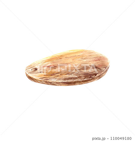 Wooden cutting board, watercolor. Vector illustration isolated on white background. Design element for food banners, labels, packaging, flyers. 110049180