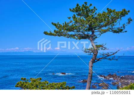 神奈川県横須賀市の荒崎公園(潮風の丘付近)から西側の眺望(富士山,相模湾など) 神奈川県横須賀市の荒崎公園(潮風の丘付近)から西側の眺望(富士山,相模湾など) 110050081
