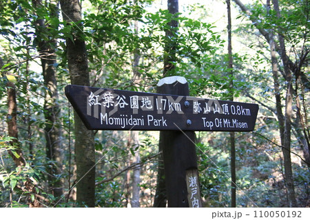 登山道 登山道 110050192