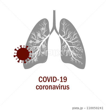 Human lungs. coronaviruses in the lung. Human lungs. coronaviruses in the lung. 110050241