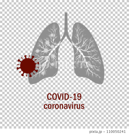 Human lungs. coronaviruses in the lung. Human lungs. coronaviruses in the lung. 110050241