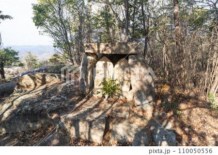 鬼ノ城の馬頭観音(鬼城山) 鬼ノ城の馬頭観音(鬼城山) 110050556