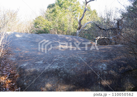鬼ノ城の八畳岩(鬼城山) 鬼ノ城の八畳岩(鬼城山) 110050562