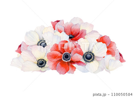 Pile of red and white anemone flowers and petals watercolor illustration isolated on white background. Wedding or Valentines celebration designs with floral botanical drawing 110050584