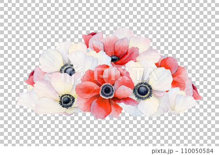 Pile of red and white anemone flowers and petals watercolor illustration isolated on white background. Wedding or Valentines celebration designs with floral botanical drawing 110050584