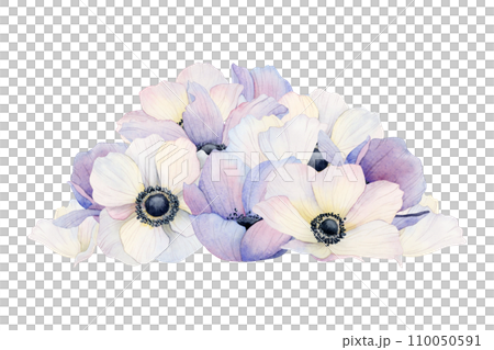 Pile of pastel purple violet and white anemone flowers and petals watercolor illustration isolated on white background. Wedding 2024 celebration designs, elegant backdrop with floral botanical drawing 110050591