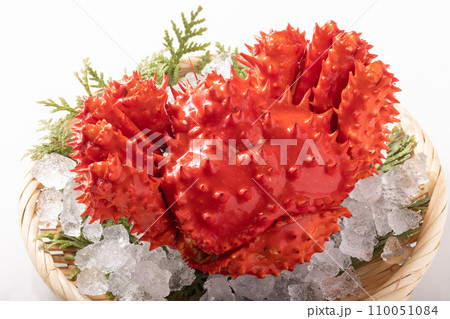 北海道産 花咲ガニ 北海道産 花咲ガニ 110051084