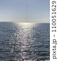 光と海 110051629