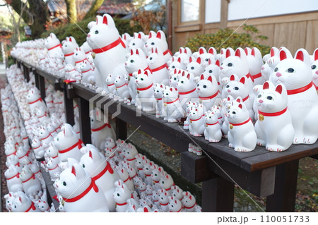 豪徳寺の招き猫 奉納 豪徳寺の招き猫 奉納 110051733