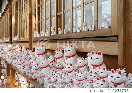 豪徳寺の招き猫 奉納 豪徳寺の招き猫 奉納 110051738