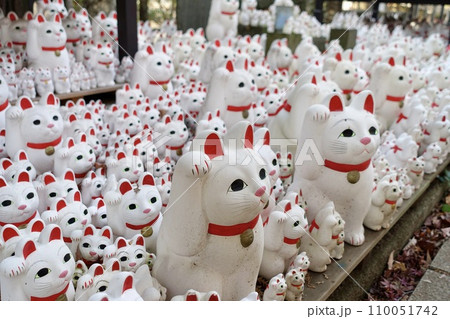 豪徳寺の招き猫 奉納 豪徳寺の招き猫 奉納 110051742