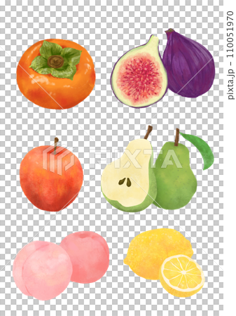 果物　イラスト　手描き 110051970