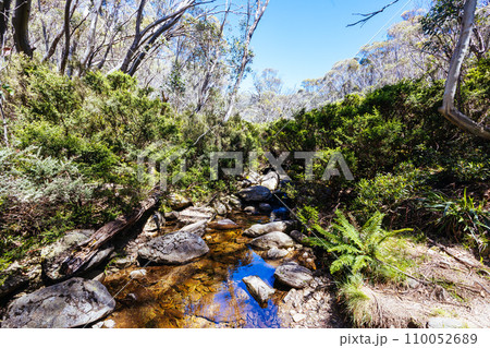 River at Horse Camp Hut in Kosciuszko National Park in Australia 110052689
