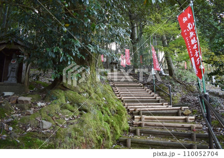 春爛漫の青林寺 110052704