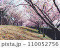満開になった桜のトンネル 110052756
