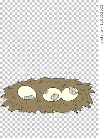 破碎的鴞鸚鵡蛋的插圖 110052922