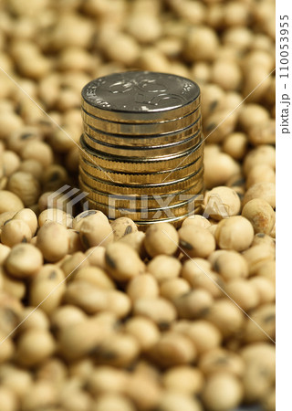 Dollars banknotes and coins and soy beans, commoditi value concept. 110053955