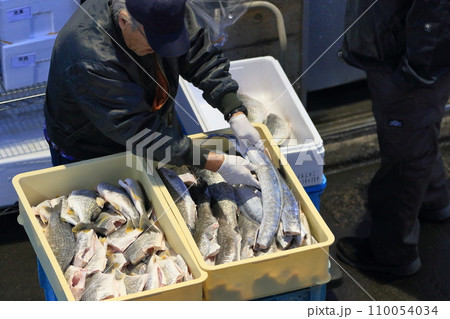 大田市場の仲卸に並べられた鮮魚　魚市場の店先の鮮魚 110054034