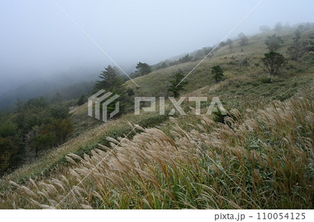 霧の落合峠（徳島県三好市東祖谷山村） 110054125