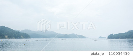 朝もやの入り江の海 パノラマ風景 朝もやの入り江の海 パノラマ風景 110054450