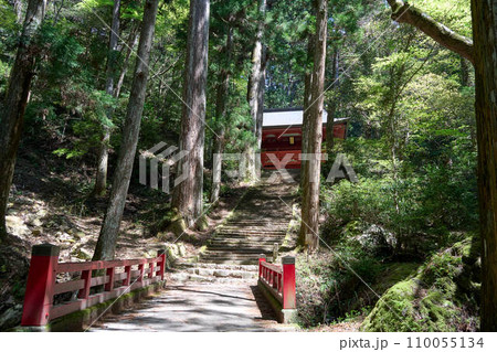 【鳳来寺山】鳳来寺への1000段を超える石段 【鳳来寺山】鳳来寺への1000段を超える石段 110055134