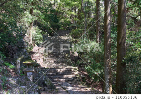 【鳳来寺山】鳳来寺への1000段を超える石段 【鳳来寺山】鳳来寺への1000段を超える石段 110055136