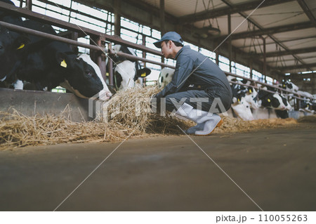 ranch 110055263