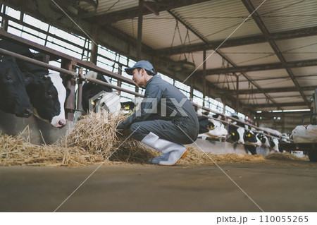 ranch 110055265