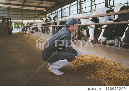 ranch 110055269