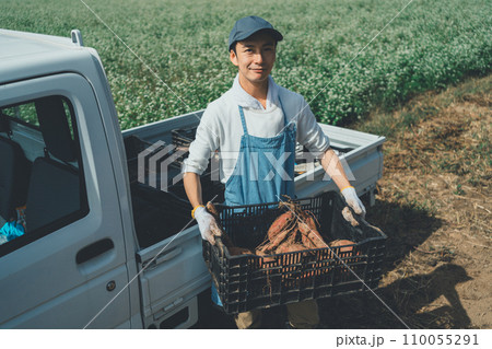 vegetable field 110055291