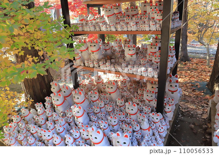 豪徳寺(ごうとくじ) 招福猫児(まねぎねこ) 豪徳寺(ごうとくじ) 招福猫児(まねぎねこ) 110056533