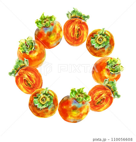 Template of persimmon orange fruit with leaves. Watercolor hand-drawn elements. Isolated on white background. Delicious fruit clip-art illustration. Used on labels, napkins, towels, tableware, package 110056608