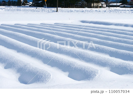 畑の畝に積もる雪　花巻の明るい雪の田園風景 110057034