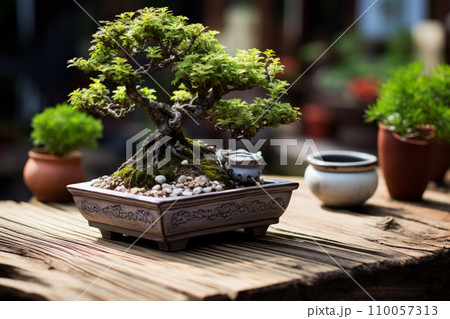 A well tended bonsai tree with lush foliage in a decorated ceramic pot on a wooden table. Generative AI A well tended bonsai tree with lush foliage in a decorated ceramic pot on a wooden table. Generative AI 110057313