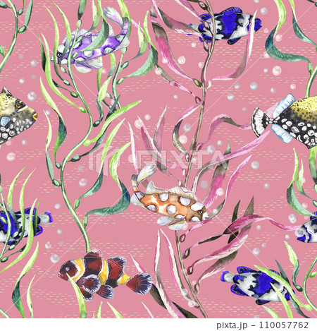Watercolor different fishes in the seaweeds. Underwater life. Pink background Watercolor different fishes in the seaweeds. Underwater life. Pink background 110057762