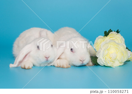 Two white decorative fold rabbits and flowers Two white decorative fold rabbits and flowers 110058271