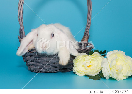 White decorative fold rabbit in a basket 110058274