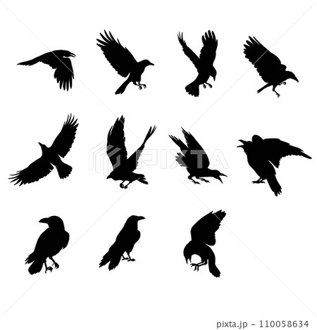 Raven Temporary Tattoo - Set of 3 – Little Tattoos