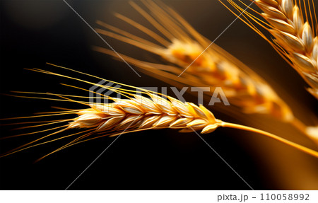 AI-generated content. Wheat ears on black background with copy space, AI generated 110058992