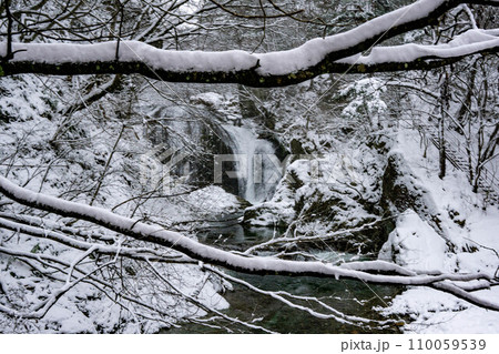 雪の降る乱川 110059539