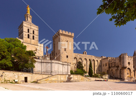Avignon Cathedral, Avignon, France Famous Avignon Bridge, France 110060017