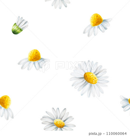 Watercolor seamless pattern with white daisy flowers illustration isolated on white background. Chamomile. Detail of beauty products and botany set, cosmetology and medicine. For designers, spa 110060064