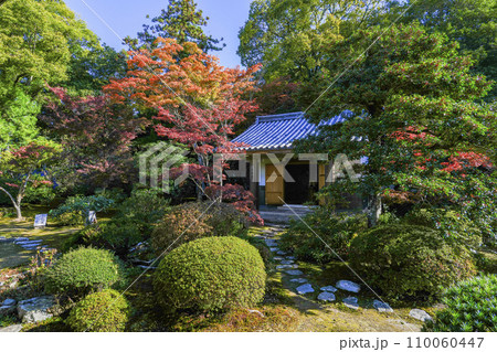 京都・山科 随心院(ずいしんいん)小町堂 京都・山科 随心院(ずいしんいん)小町堂 110060447