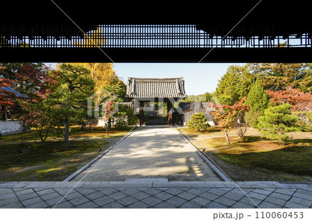 京都・山科　随心院（ずいしんいん）大玄関より藥医門を望む 110060453