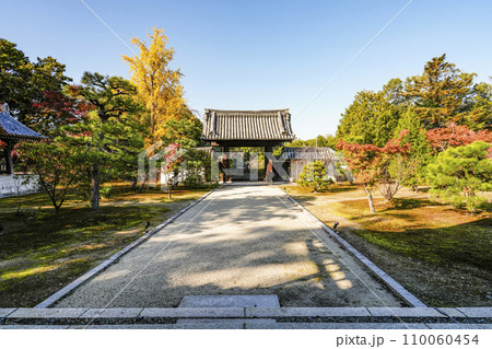 京都・山科 随心院(ずいしんいん)大玄関より藥医門を望む 京都・山科 随心院(ずいしんいん)大玄関より藥医門を望む 110060454