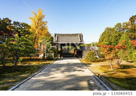 京都・山科　随心院（ずいしんいん）大玄関より藥医門を望む 110060455